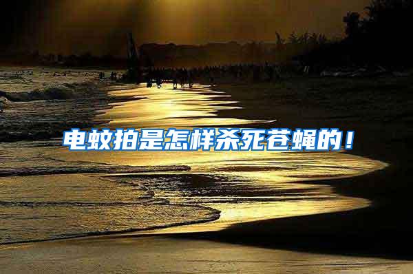 電蚊拍是怎樣殺死蒼蠅的！