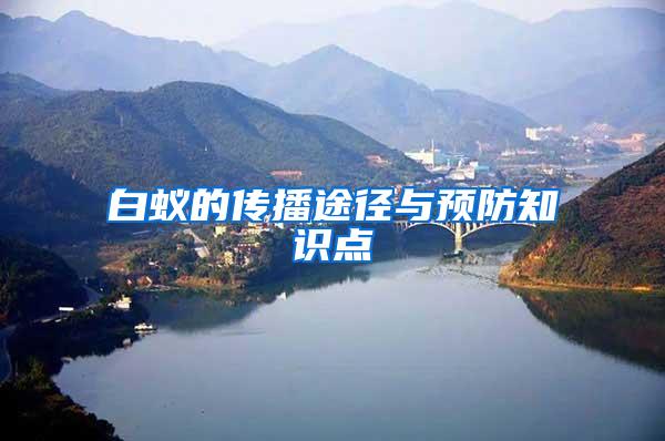 白蟻的傳播途徑與預(yù)防知識(shí)點(diǎn)