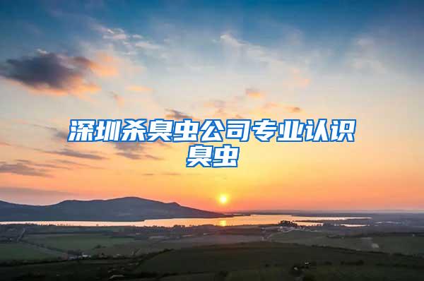 深圳殺臭蟲(chóng)公司專業(yè)認(rèn)識(shí)臭蟲(chóng)
