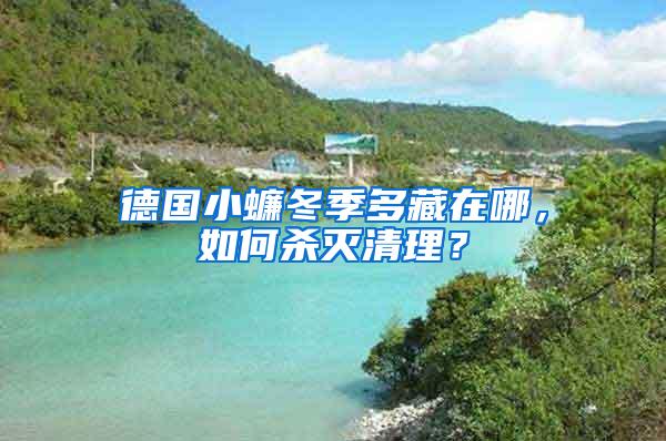 德國小蠊冬季多藏在哪，如何殺滅清理？