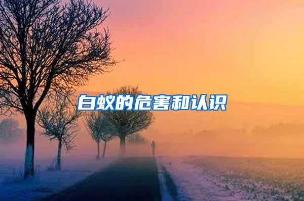 白蟻的危害和認(rèn)識(shí)