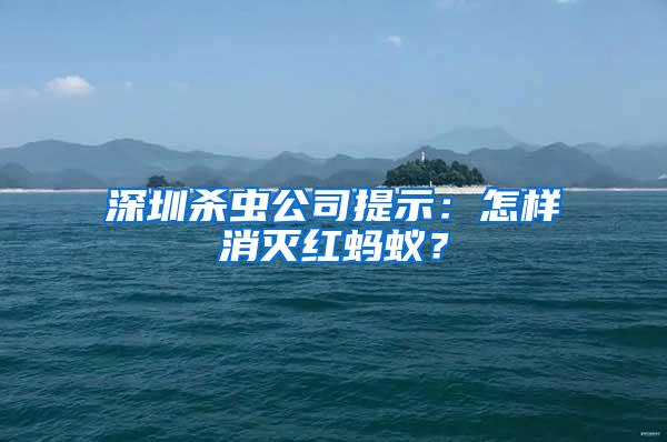 深圳殺蟲公司提示：怎樣消滅紅螞蟻？