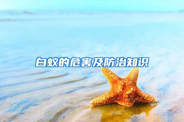 白蟻的危害及防治知識(shí)