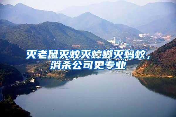 滅老鼠滅蚊滅蟑螂滅螞蟻，消殺公司更專業(yè)