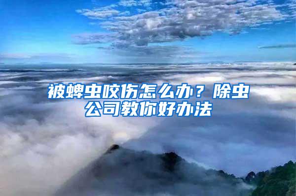 被蜱蟲咬傷怎么辦？除蟲公司教你好辦法