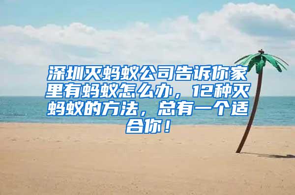 深圳滅螞蟻公司告訴你家里有螞蟻怎么辦，12種滅螞蟻的方法，總有一個適合你！