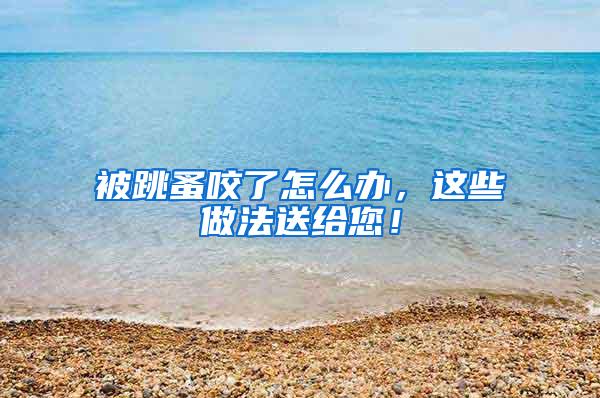 被跳蚤咬了怎么辦，這些做法送給您！