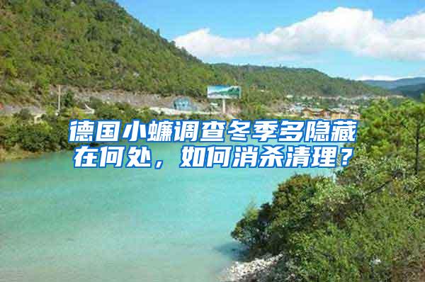 德國小蠊調查冬季多隱藏在何處，如何消殺清理？