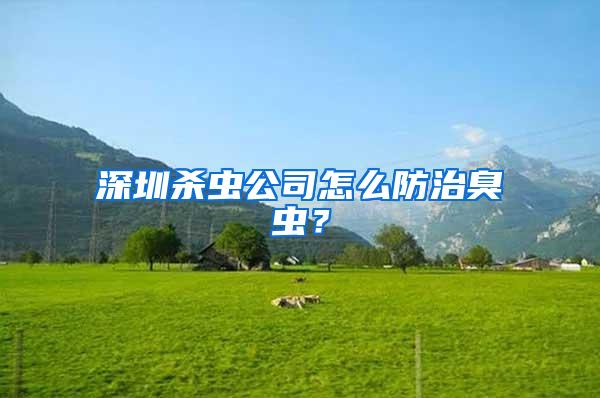 深圳殺蟲公司怎么防治臭蟲？