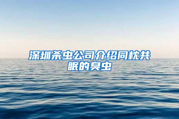 深圳殺蟲(chóng)公司介紹同枕共眠的臭蟲(chóng)