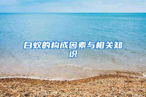 白蟻的構(gòu)成因素與相關(guān)知識(shí)