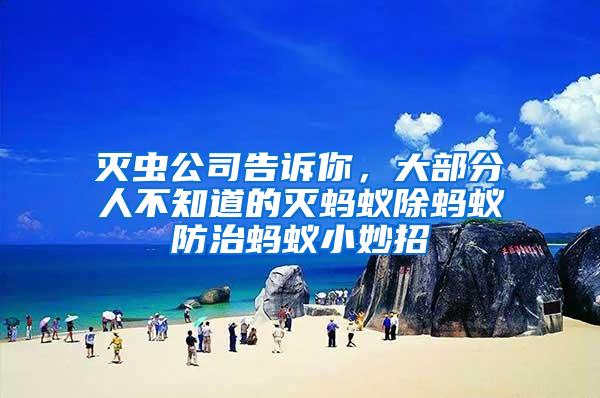 滅蟲公司告訴你，大部分人不知道的滅螞蟻除螞蟻防治螞蟻小妙招