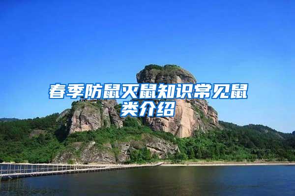 春季防鼠滅鼠知識(shí)常見鼠類介紹