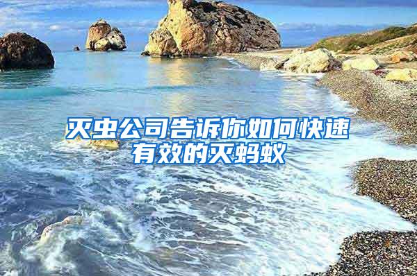 滅蟲(chóng)公司告訴你如何快速有效的滅螞蟻