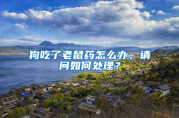 狗吃了老鼠藥怎么辦，請問如何處理？