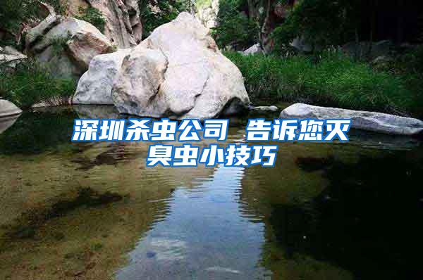 深圳殺蟲(chóng)公司 告訴您滅臭蟲(chóng)小技巧