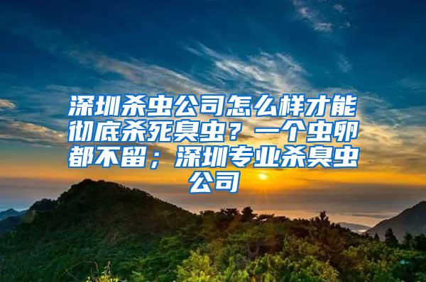 深圳殺蟲公司怎么樣才能徹底殺死臭蟲？一個(gè)蟲卵都不留；深圳專業(yè)殺臭蟲公司