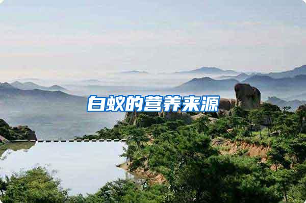 白蟻的營養(yǎng)來源