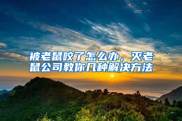 被老鼠咬了怎么辦，滅老鼠公司教你幾種解決方法