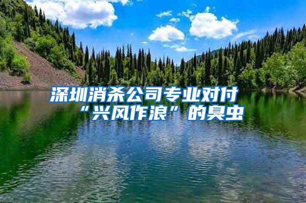 深圳消殺公司專業(yè)對(duì)付“興風(fēng)作浪”的臭蟲(chóng)