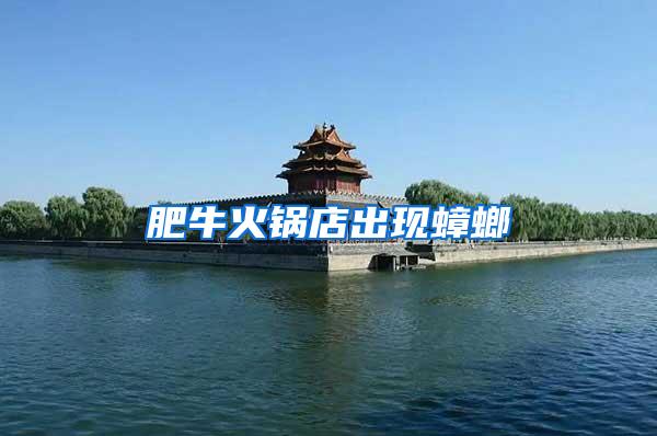 肥?；疱伒瓿霈F蟑螂
