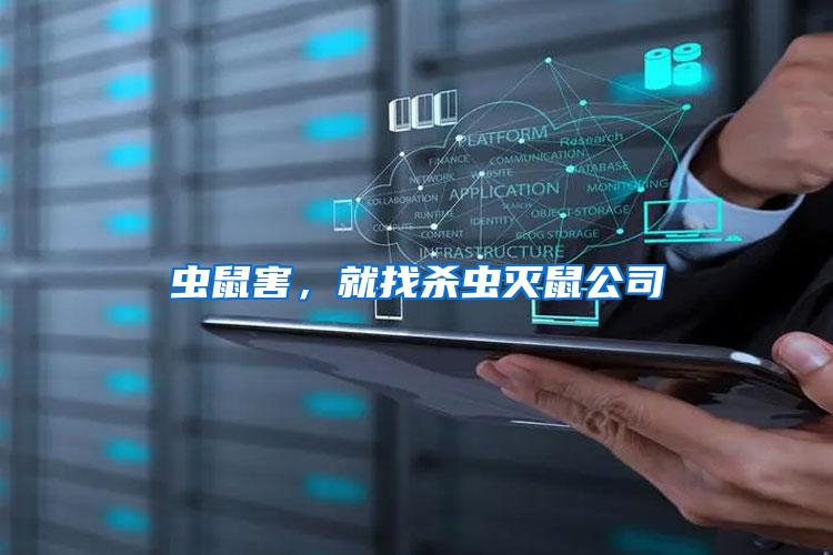 蟲鼠害，就找殺蟲滅鼠公司