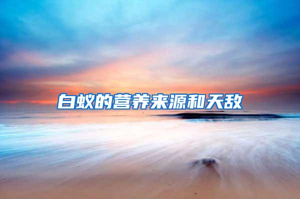 白蟻的營養(yǎng)來源和天敵