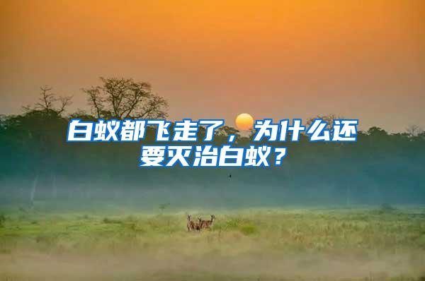 白蟻都飛走了，為什么還要滅治白蟻？