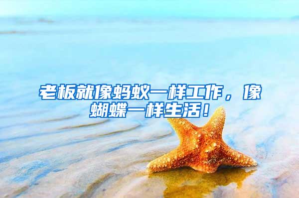 老板就像螞蟻一樣工作，像蝴蝶一樣生活！