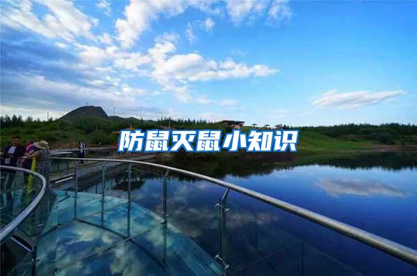 防鼠滅鼠小知識(shí)