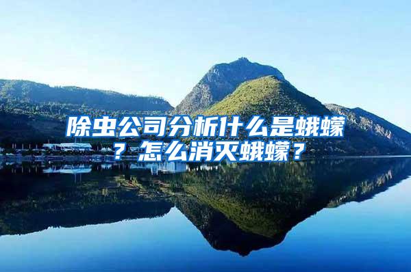 除蟲公司分析什么是蛾蠓？怎么消滅蛾蠓？