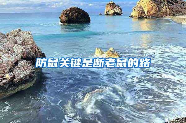 防鼠關(guān)鍵是斷老鼠的路
