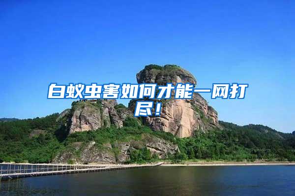 白蟻蟲害如何才能一網(wǎng)打盡！