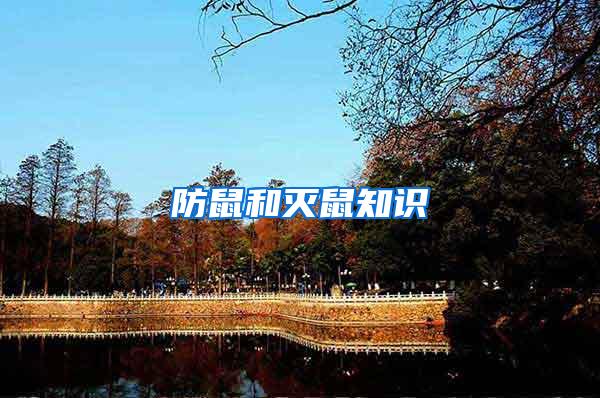 防鼠和滅鼠知識(shí)