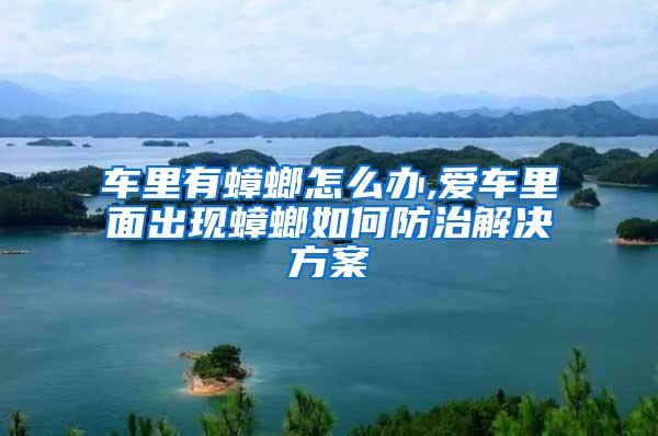 車(chē)?yán)镉畜朐趺崔k,愛(ài)車(chē)?yán)锩娉霈F(xiàn)蟑螂如何防治解決方案