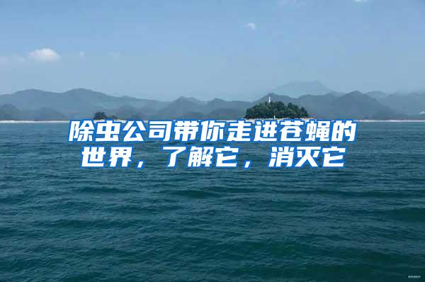 除蟲公司帶你走進蒼蠅的世界，了解它，消滅它