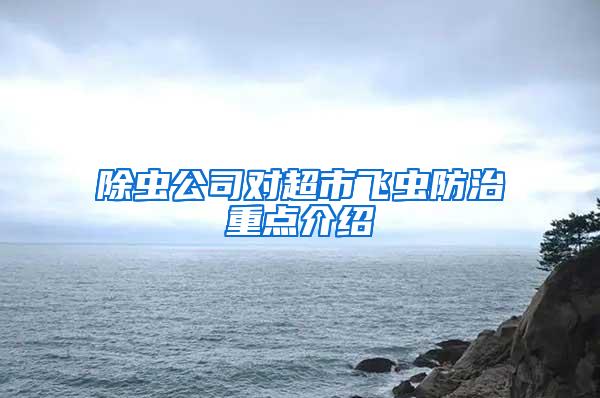 除蟲公司對(duì)超市飛蟲防治重點(diǎn)介紹