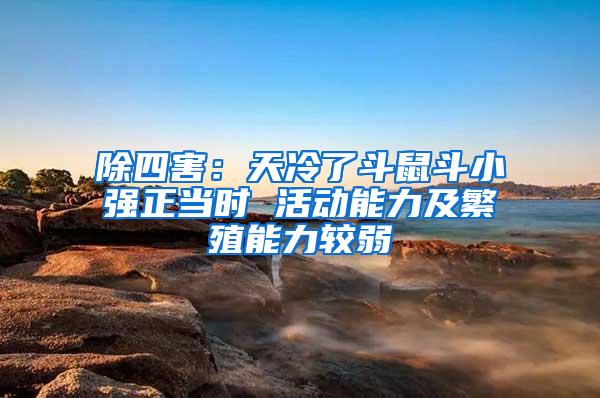 除四害：天冷了斗鼠斗小強(qiáng)正當(dāng)時 活動能力及繁殖能力較弱