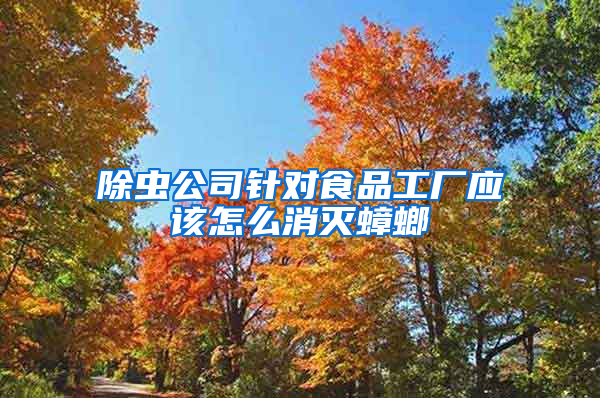 除蟲公司針對(duì)食品工廠應(yīng)該怎么消滅蟑螂