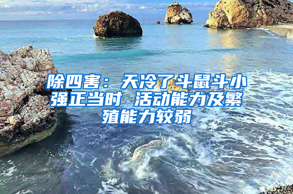 除四害：天冷了斗鼠斗小強正當(dāng)時 活動能力及繁殖能力較弱