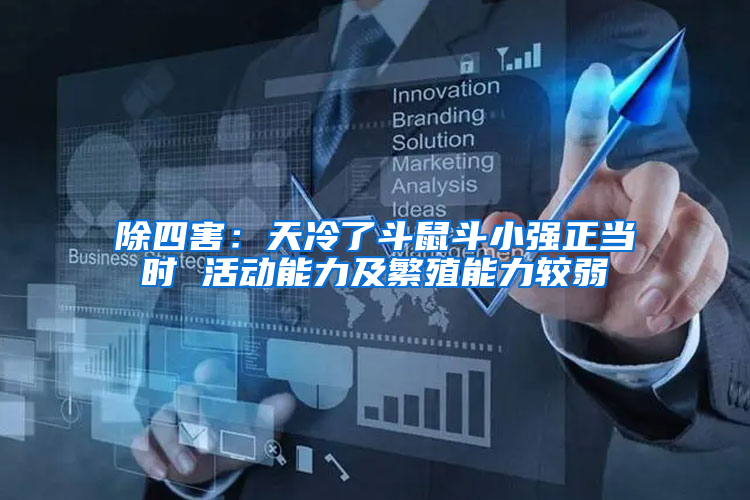 除四害：天冷了斗鼠斗小強正當(dāng)時 活動能力及繁殖能力較弱