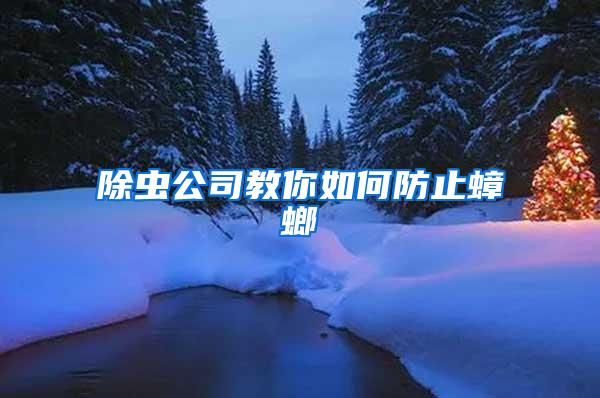 除蟲(chóng)公司教你如何防止蟑螂