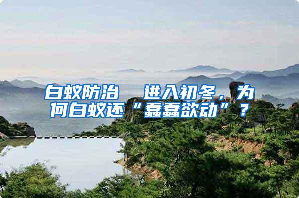 白蟻防治  進入初冬，為何白蟻還“蠢蠢欲動”？