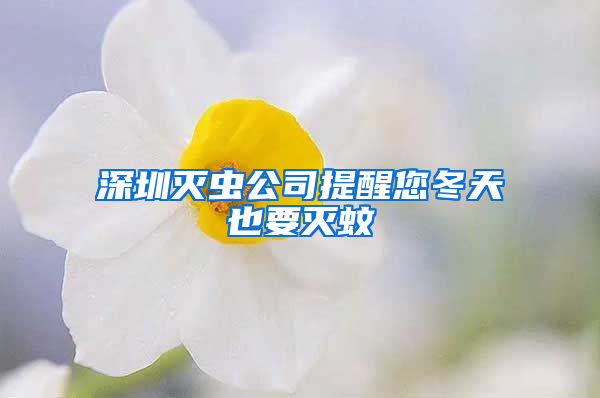 深圳滅蟲(chóng)公司提醒您冬天也要滅蚊