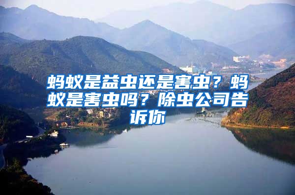 螞蟻是益蟲還是害蟲？螞蟻是害蟲嗎？除蟲公司告訴你
