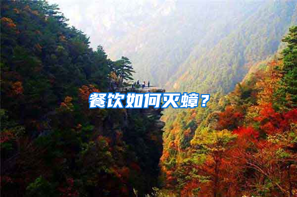 餐飲如何滅蟑？