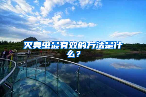 滅臭蟲最有效的方法是什么？