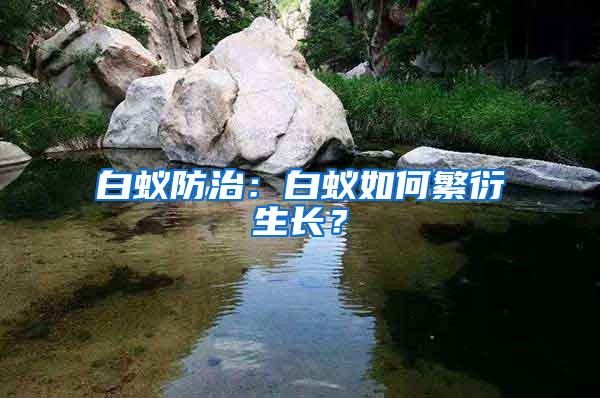 白蟻防治：白蟻如何繁衍生長？