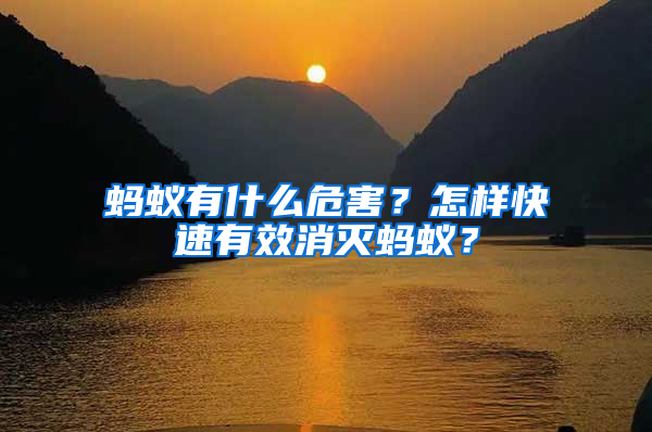 螞蟻有什么危害？怎樣快速有效消滅螞蟻？