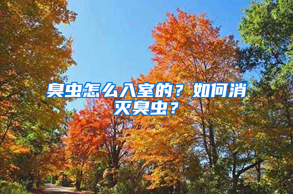 臭蟲怎么入室的？如何消滅臭蟲？